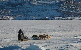 Hotel Hvide Falk